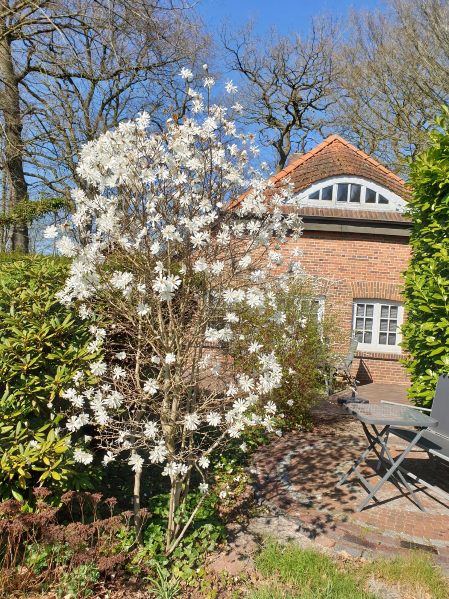 Ferienwohnung Kaminzimmer Westerstede Exteriör bild